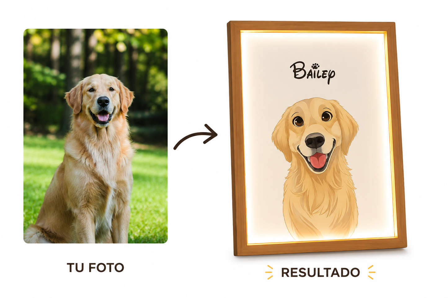 cuadro de iluminación de mascota
