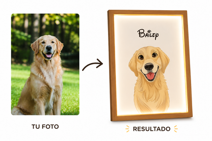 cuadro de iluminación de mascota