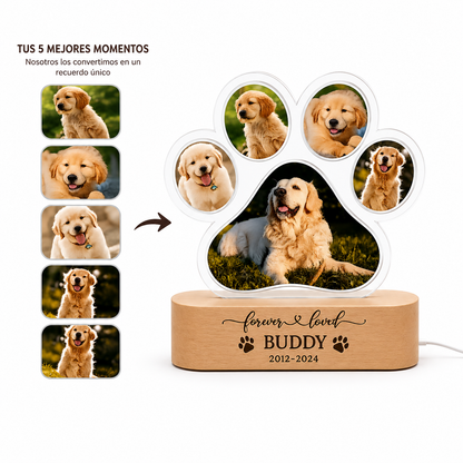 Cuadro de mascota personalizable